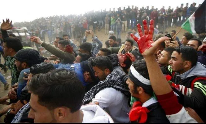 إحصائية: 253 فقيد فلسطيني حصيلة قمع مسيرات العودة بغزة