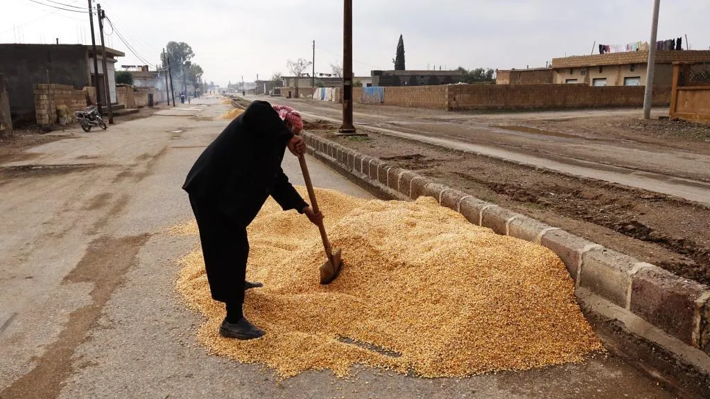 خسائر كبيرة في القطاع الزراعي ومزارعو الرقة يأملون بتحسين الواقع الزراعي لهذا العام