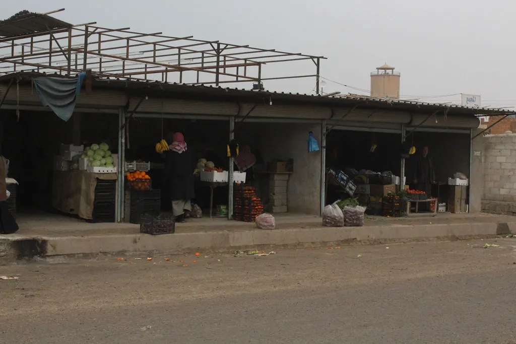 عودة الحياة الطبيعية للمنصورة بعد انتهاء الحملة الأمنية