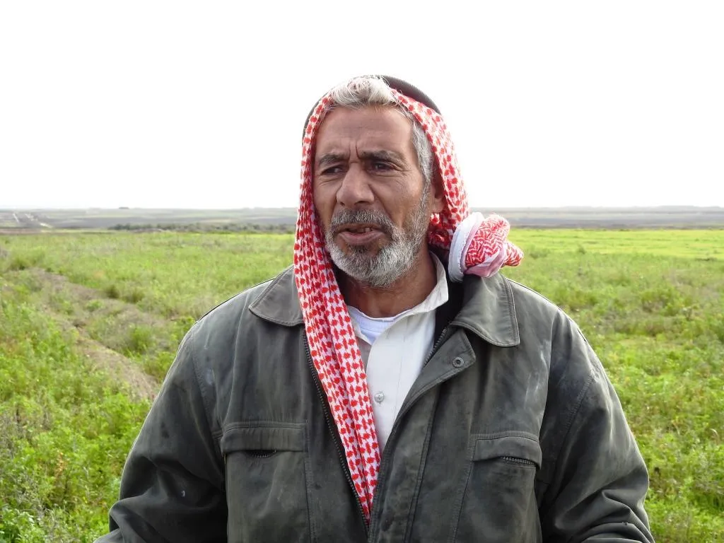 زراعة الفصة وجهة المزارعين بسبب قلة المياه