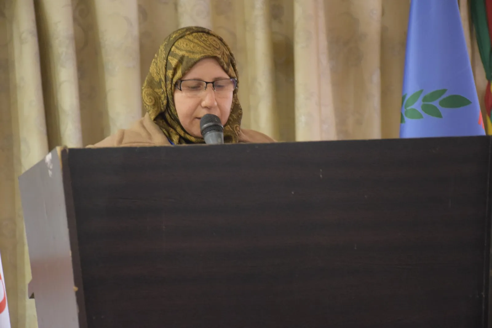 حسن: هدف تركيا من "المنطقة الآمنة" زعزعة أمن واستقرار المنطقة