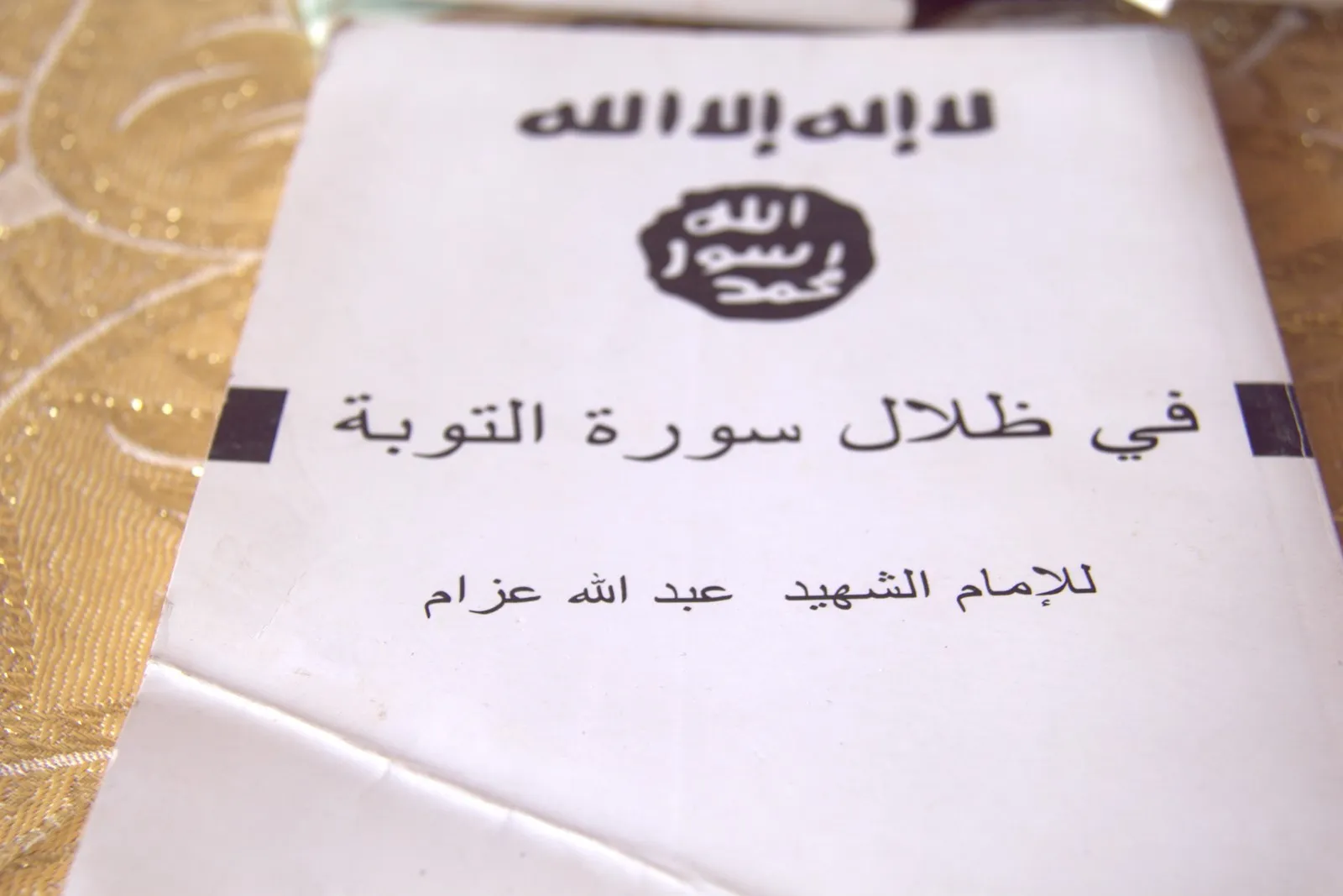 أسامة أحمد: القضاء على داعش يبدأ من أنقرة