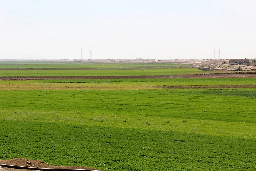 مديرية الزراعة تواصل دعم المزارعين لتحقيق الاكتفاء الذاتي