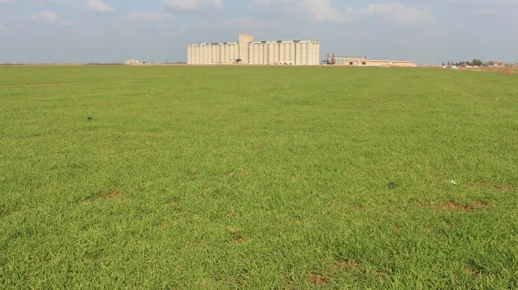 المزارعون يستبشرون خيراً هذا العام
