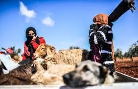 تفاصيل حية ليوم الـ 18 من آذار في ذاكرة أمهات عفرين