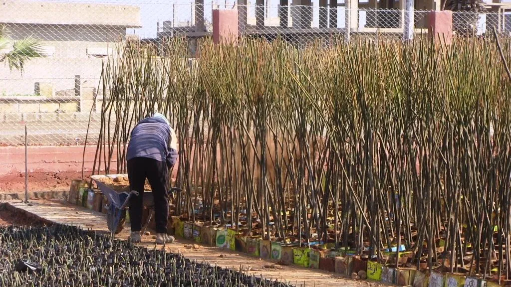 المؤسسات الخدمية تعمل حثيثاً لتطوير المناطق المحررة