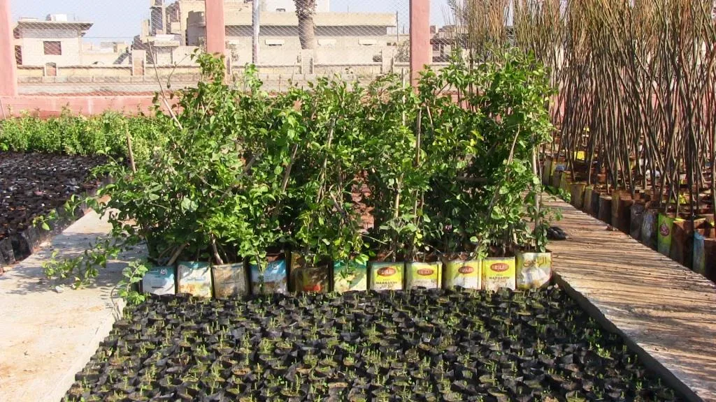المؤسسات الخدمية تعمل حثيثاً لتطوير المناطق المحررة