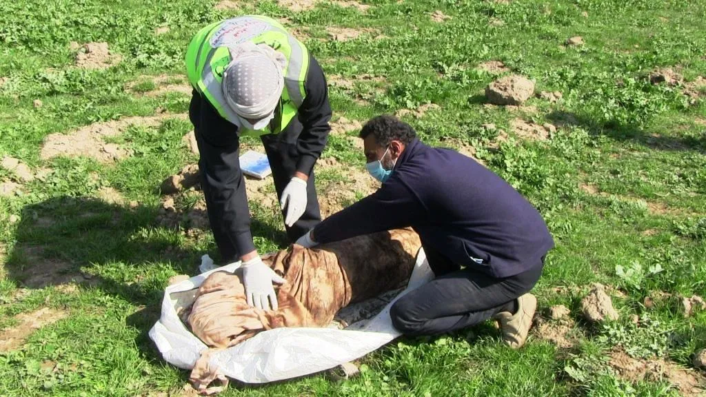 انتشال 300 جثة من مقبرة فخيخة في الرقة