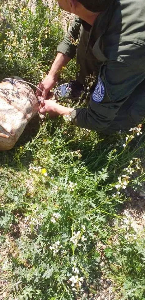 قوى الأمن الداخلي في دير الزور تنقذ حياة المئات من المدنيين