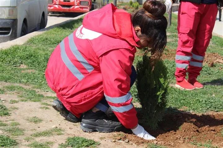 سلسلة فعاليات في مقاطعة قامشلو بمناسبة الـ8 من آذار