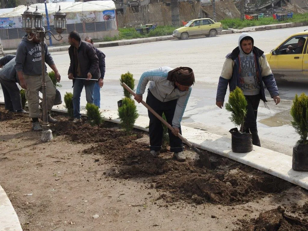دوار النعيم..يلبس حلته الخضراء من جديد