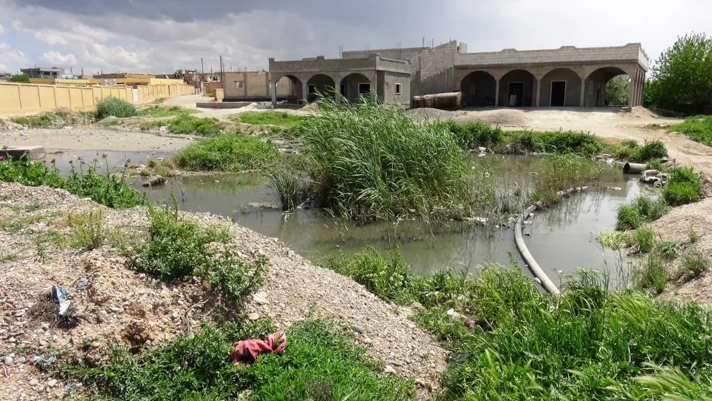 الخدمات في المنصورة بين المطرقة والسندان