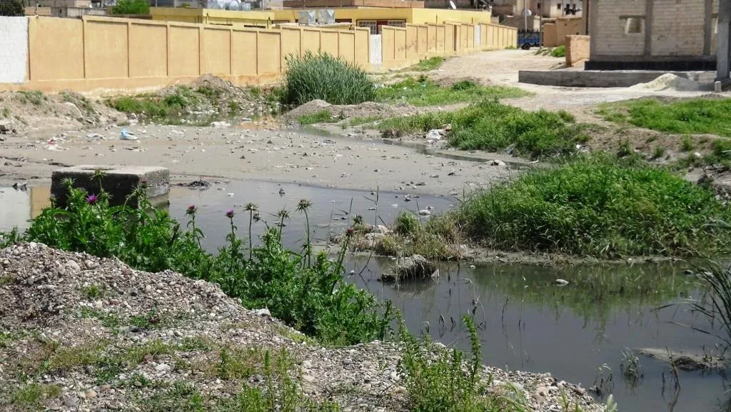 الخدمات في المنصورة بين المطرقة والسندان