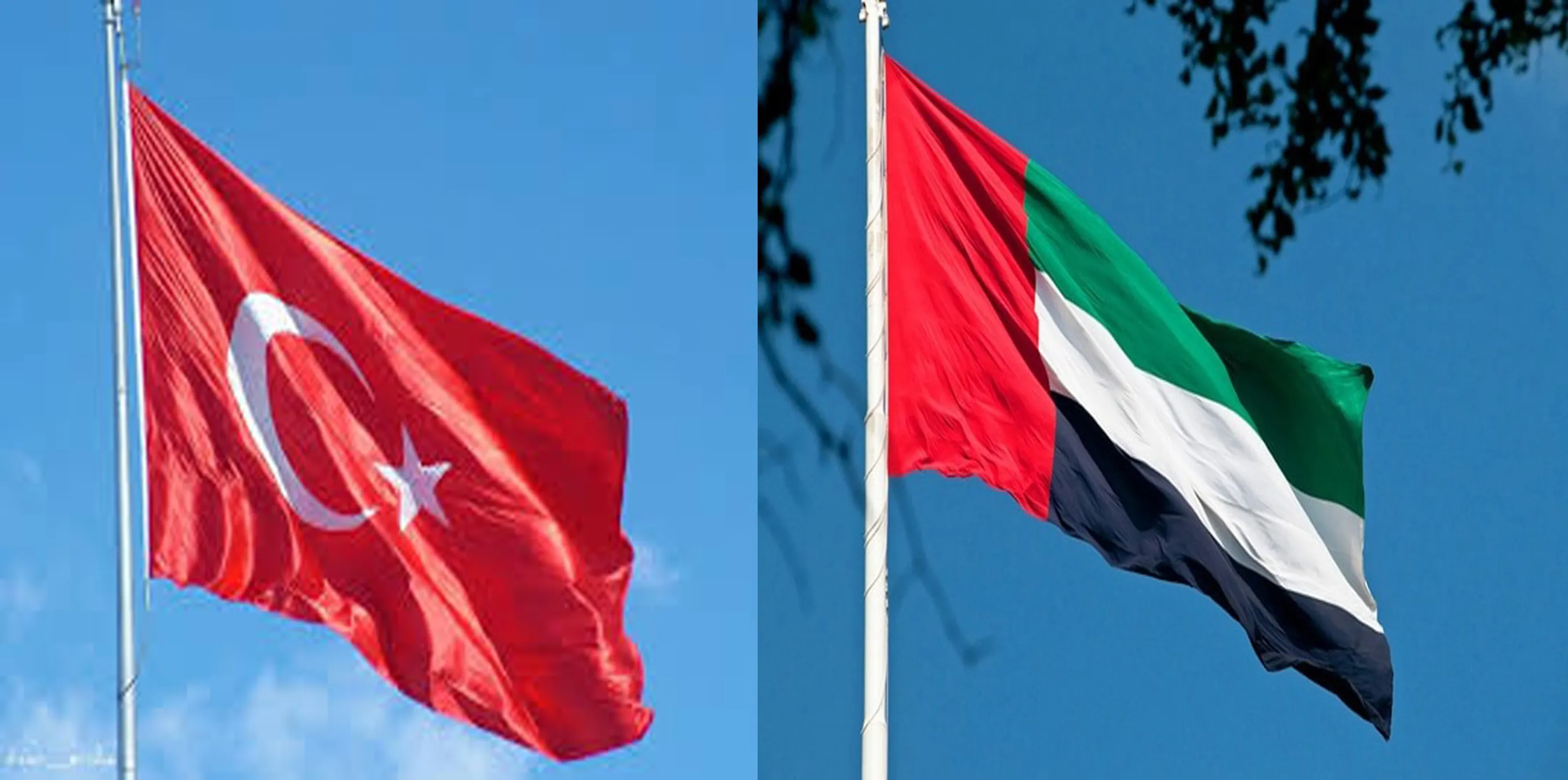 مقتل أحد الجاسوسين الإماراتيين بتركيا في ظروف غامضة