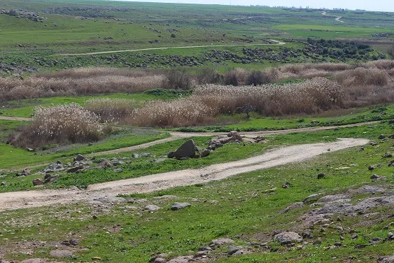 محمية مزكفت..طلبات متكررة لتأهيل الطريق بدون استجابة