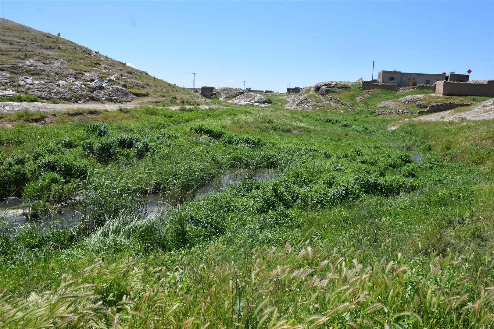 معاناة أهالي الهول تزداد من مياه الصرف الصحي وإصابات مرض اللاشمانيا