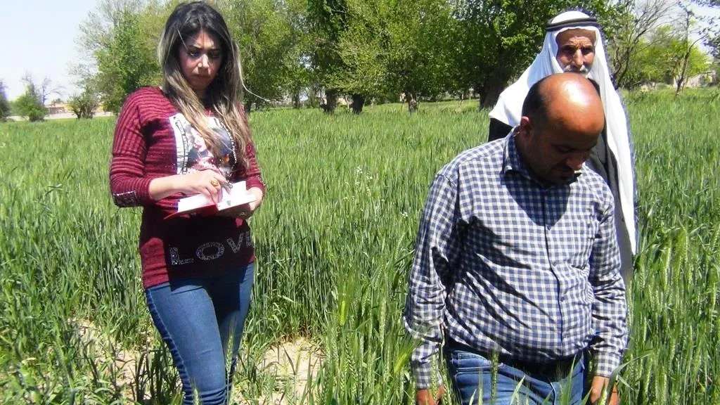 جولة للاطلاع على حقول القمح في ريف دير الزور