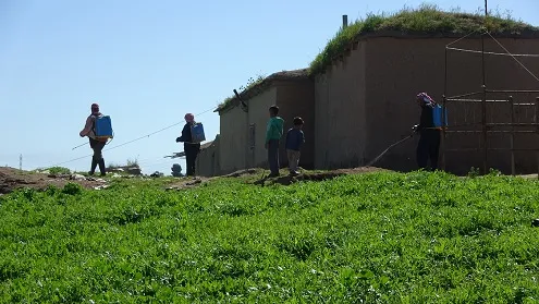 مكافحة الحشرات الضارة في ناحية تل حميس