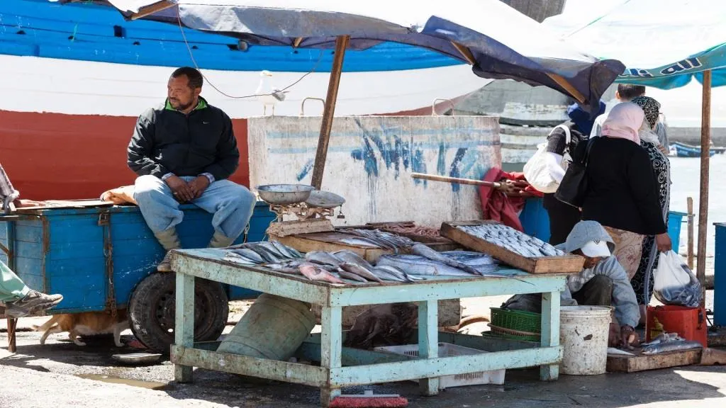 مصادرة كمية من الأسماك بعد قرار منع اصطيادها في فترة تكاثرها