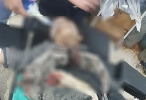 فقدان 3 مدنيين لحياتهم في انفجار لغم من مخلفات داعش في الرقة