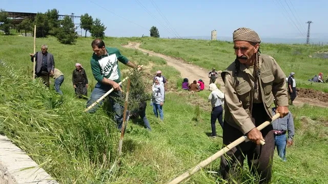 بمناسبة عيد العمال أهالي الكوجرات يطلقون حملة تطوعية لتعشيب جبل قره جوخ