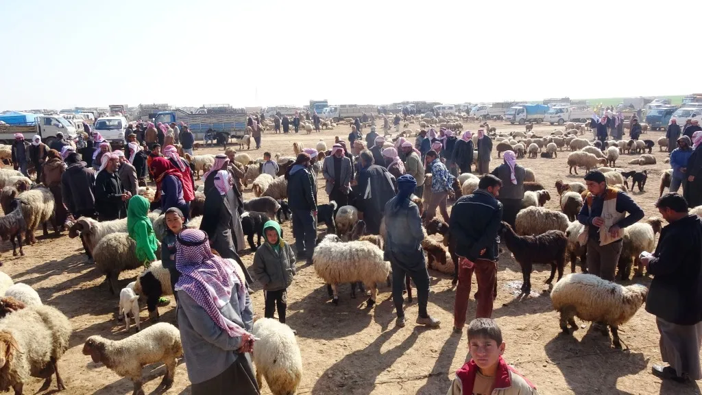 الدلالة.. مهنة الأجداد يتوارثها الأحفاد في البيع والشراء