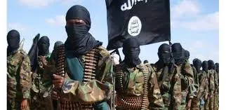 داعش يقتحم ولاية في نيجيريا ويقتل 10 جنود