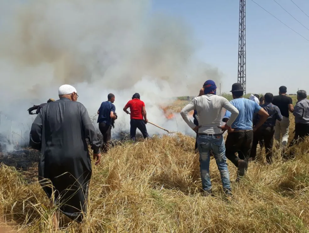 لجنة الطوارئ والأهالي يخمدون نيراناً اندلعت بأراضي زراعية في ناحية تربه سبية