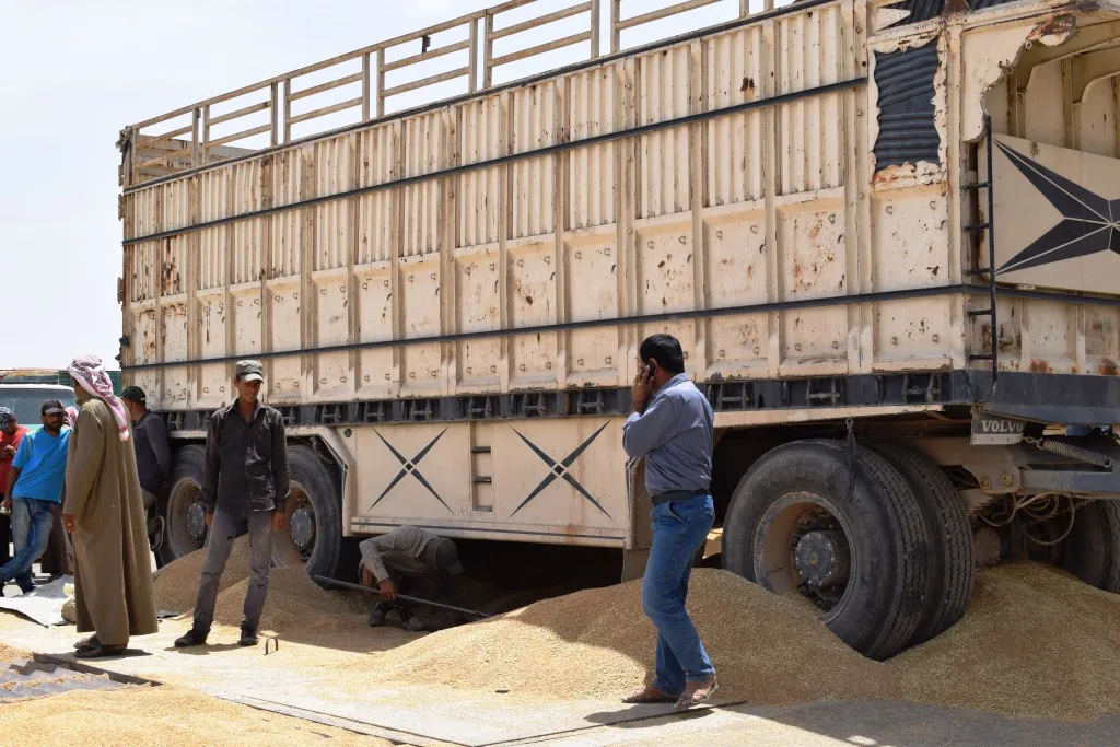 صوامع عين عيسى تستقبل ثلثي قدرتها الاستيعابية ودعوة لتسويق المحصول إلى الشركراك