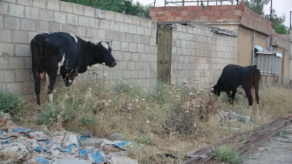 أهالي ديرك ينتظرون حل مشكلتهم