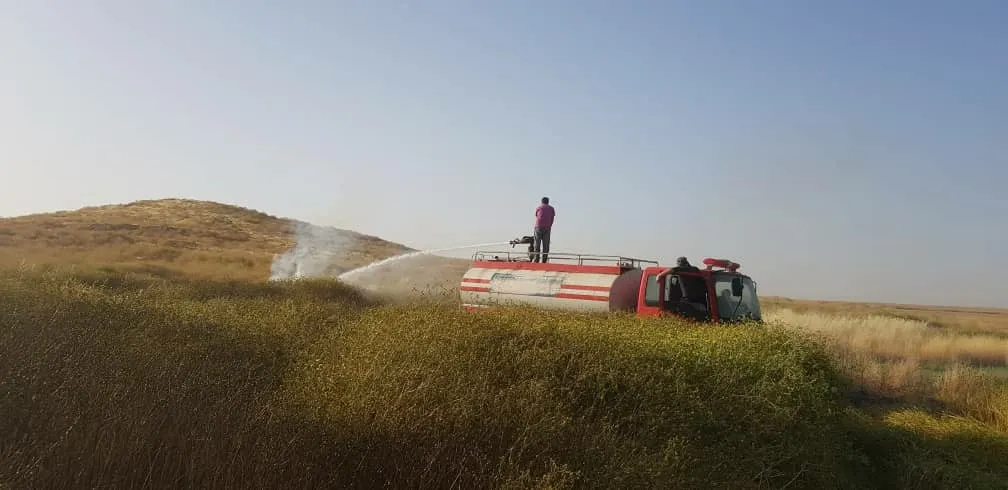 النيران التهمت 5 آلاف دونم وفرق الإطفاء تواصل محاولات الإخماد