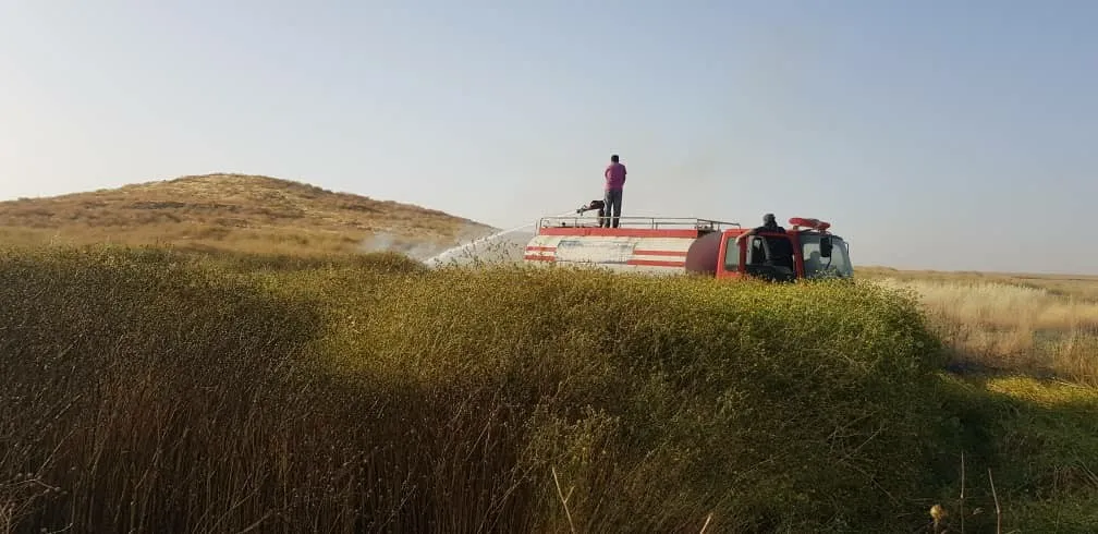 النيران التهمت 5 آلاف دونم وفرق الإطفاء تواصل محاولات الإخماد