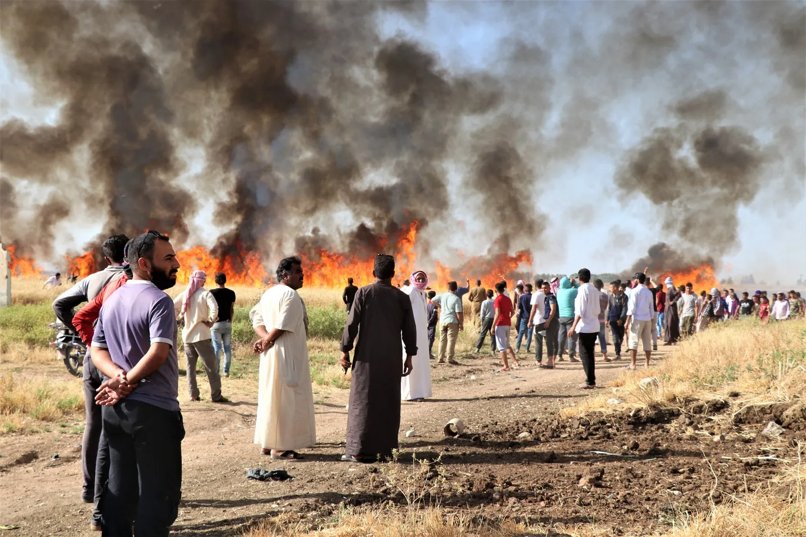 الجنود الأتراك يحرقون محصول القمح في قرى تل حلف