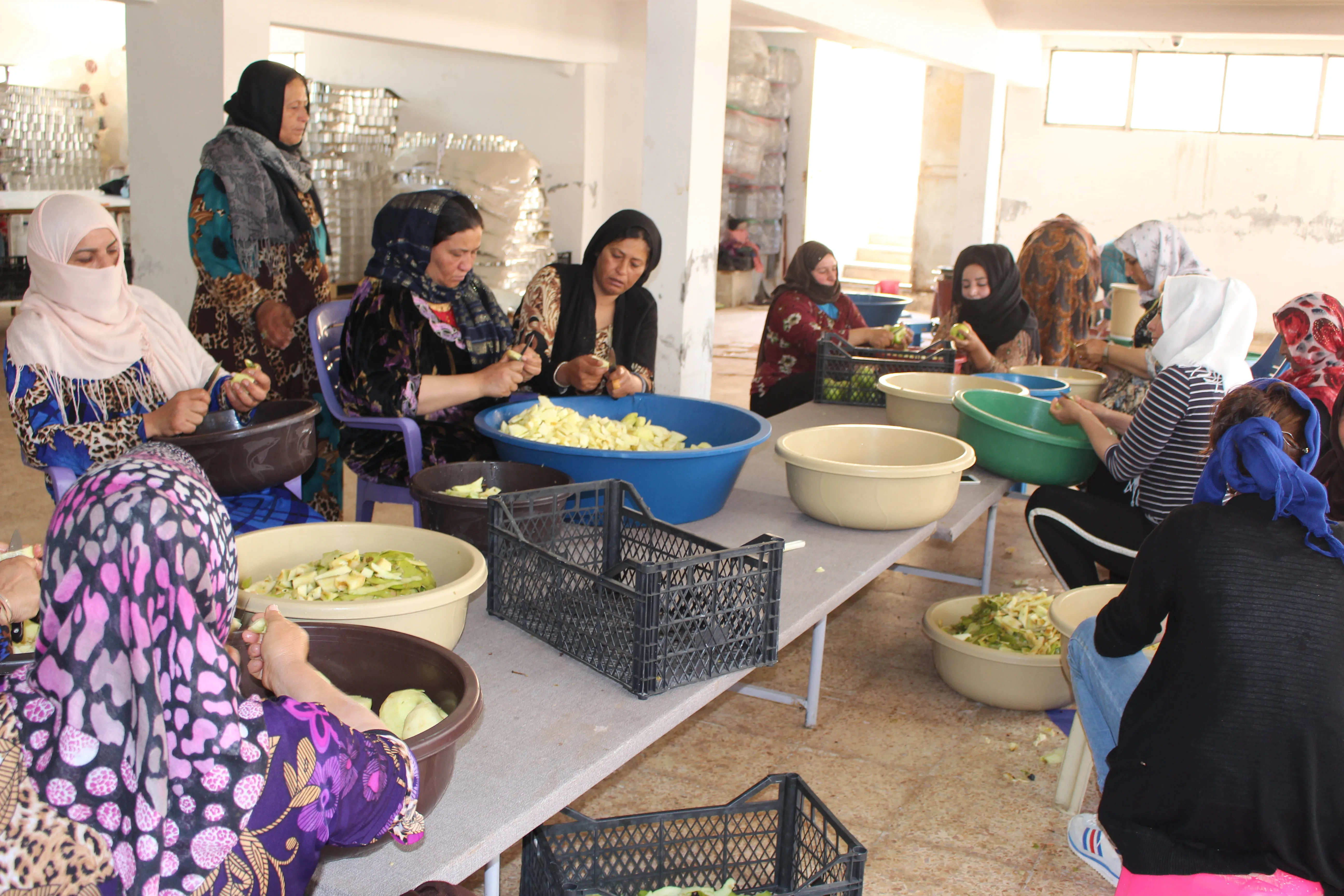 المرأة تعيد الاقتصاد إلى جوهره..  تلبية حاجة المجتمع وليس الربح