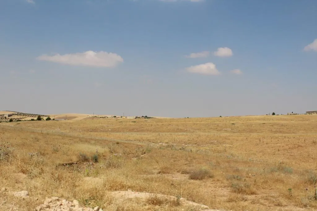 زراعة الأشجار.. ثقافة لابد من نشرها