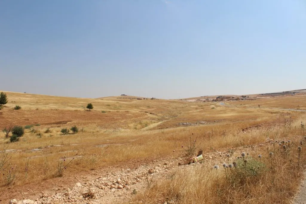 زراعة الأشجار.. ثقافة لابد من نشرها