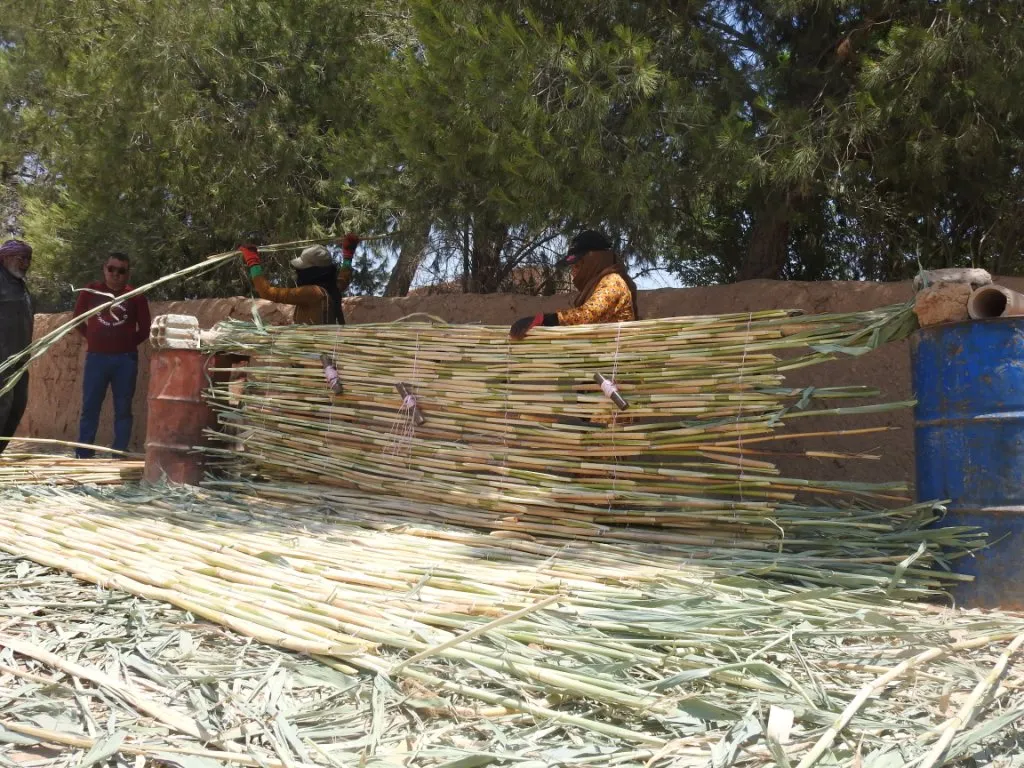 ارتفاع درجة الحرارة يعيد حضور