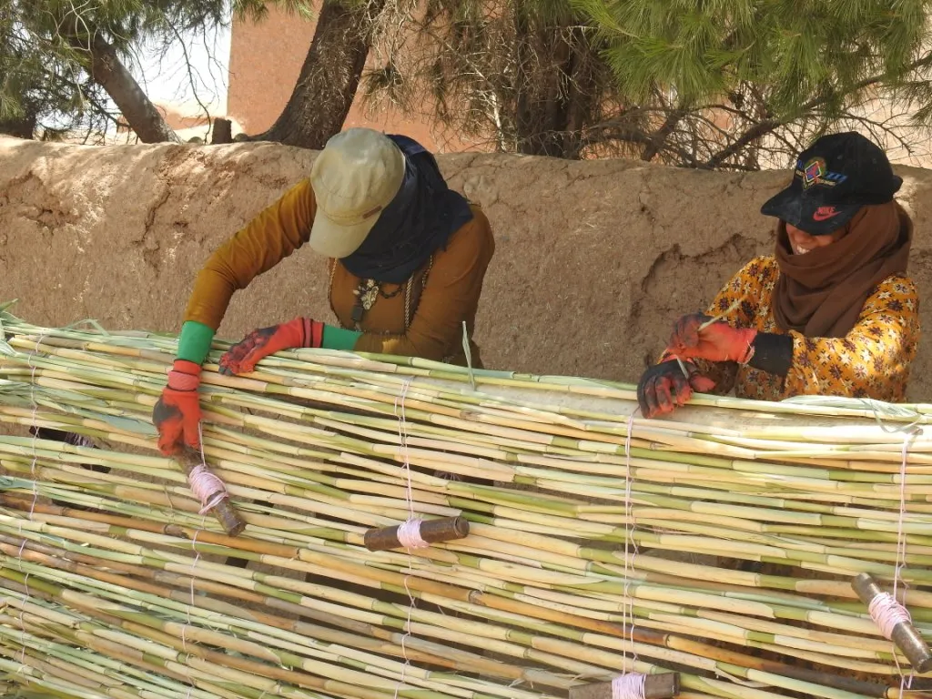 ارتفاع درجة الحرارة يعيد حضور