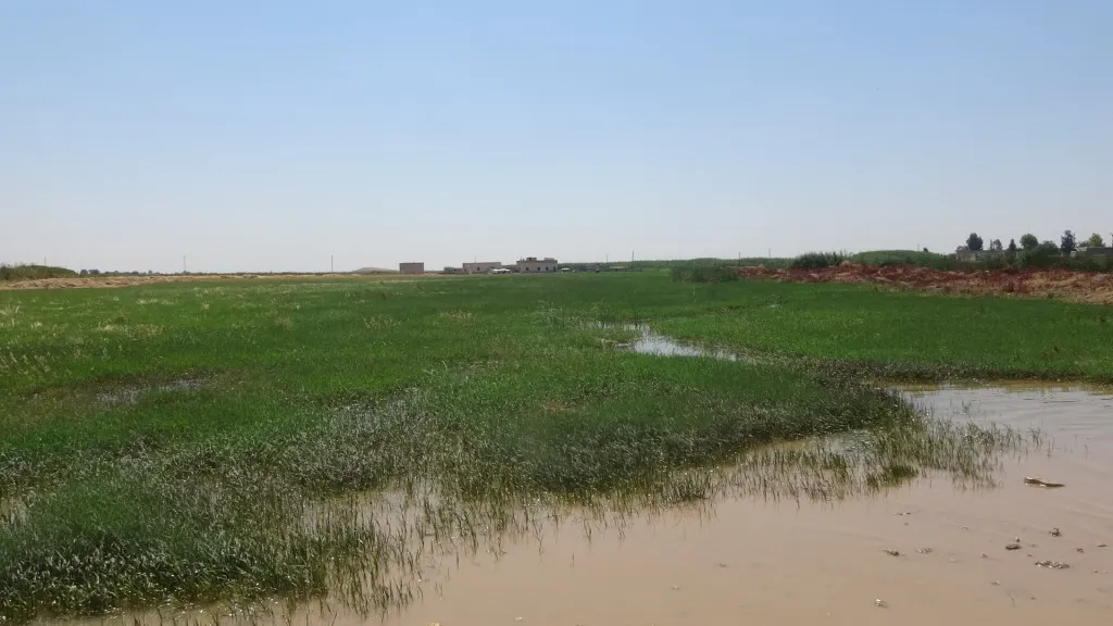 تركيا ترفع من منسوب تدفق نهر الجلاب الذي غمر ألفي هكتار من الأراضي الزراعية