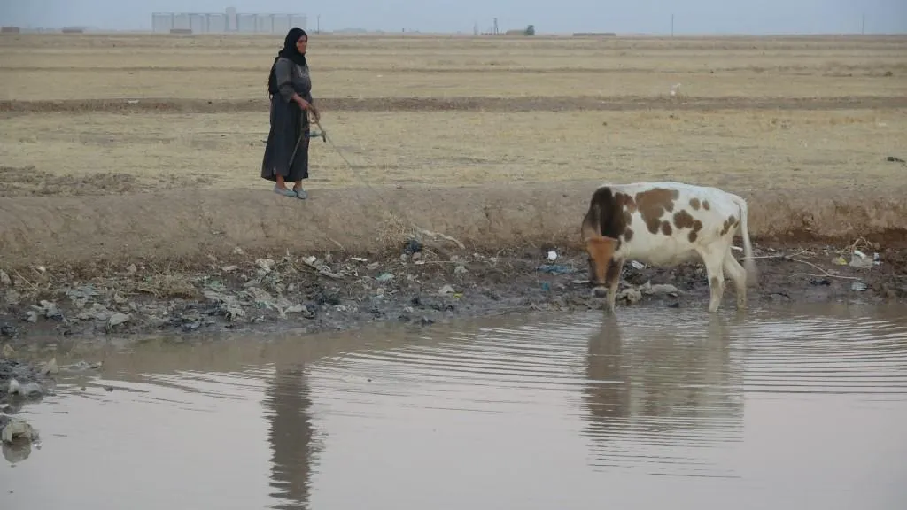 ينتظرن ساعات لتأمين مياه الشرب