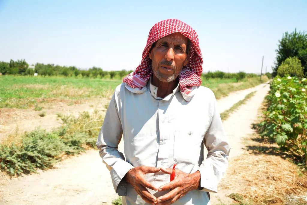 قرى غربي كوباني.. تراجع ملحوظ في الانتاج الزراعي والإدارة تضع الحل