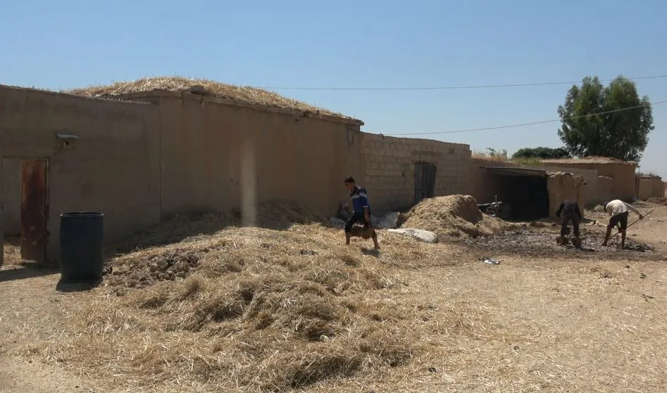 أهالي تل حميس يباشرون بترميم منازلهم الطينية
