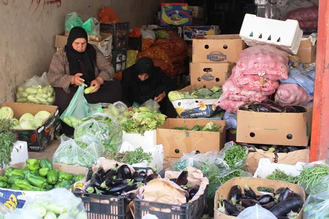 توجه نحو تطبيق الدورة الزراعية لتحقيق أقصى استفادة