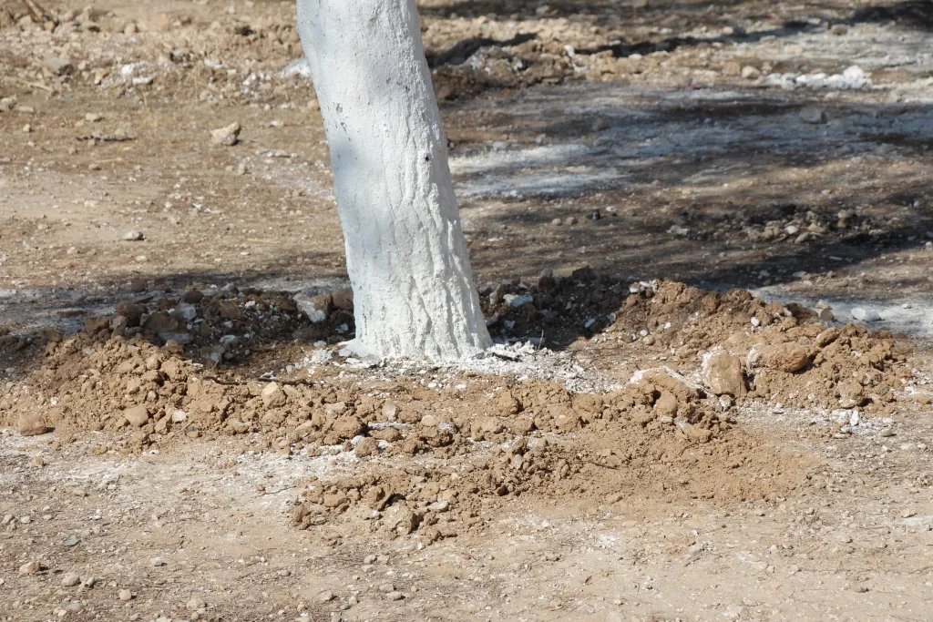 جهود مستمرة في منبج لتنظيم حرم الطريق الحراجي العام