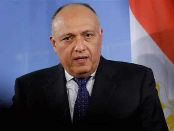 مصر: الهجوم التركي عدوان سافر وانتهاك للسيادة السورية
