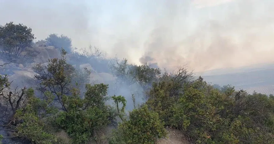 جرائم موثقة.. عفرين المحتلة مرآة تعكس وجه تركيا القبيح