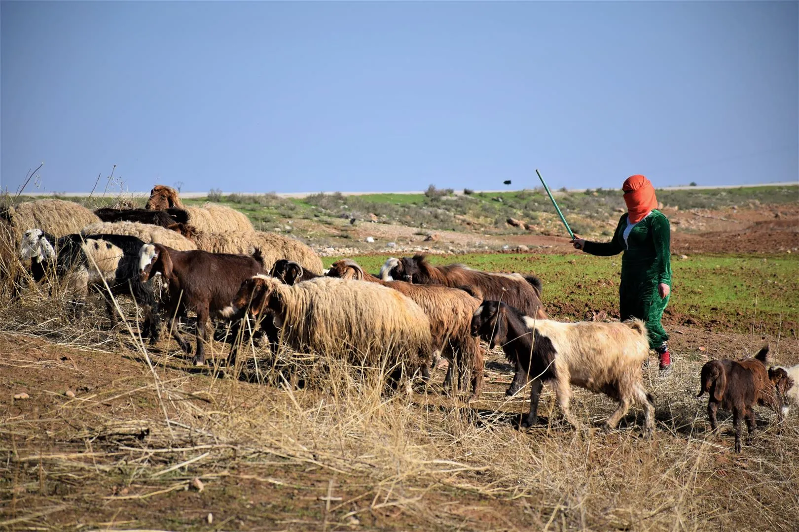 ​​​​​​​تحولت حياتهم من هناء لعناء إثر العدوان التركي