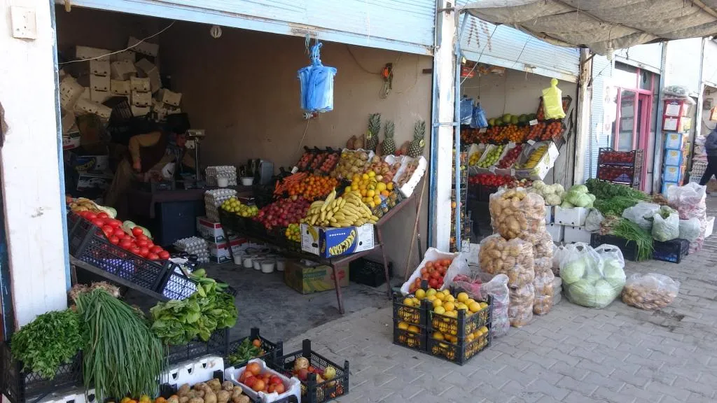 ​​​​​​​وسائل المعيشة في عين عيسى تتعدد و70 % منهم يعتمدون على الزراعة