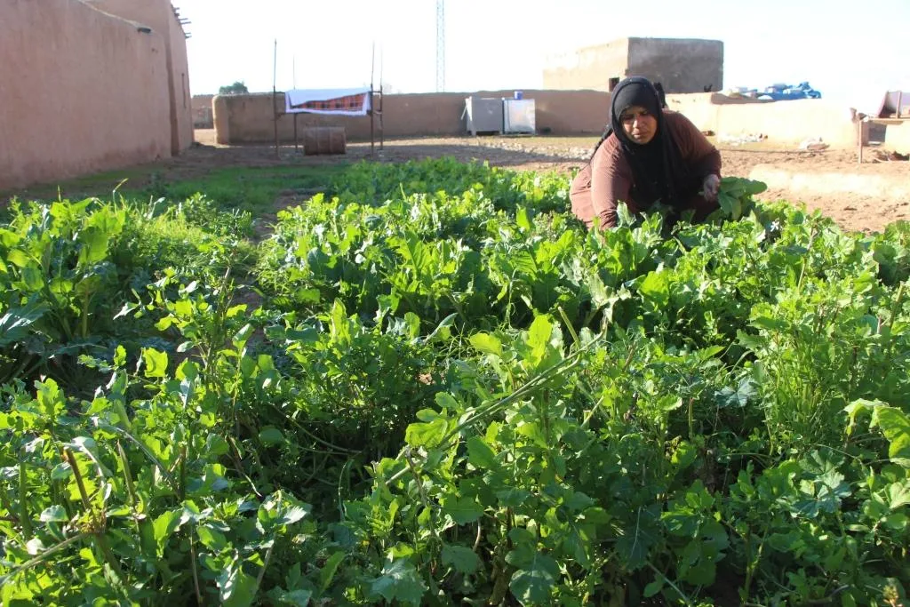 ’العالمُ استقبلَ العام الجديد بالألعاب النّارية، بينما نحنُ استقبلناه بأصوات القذائف’