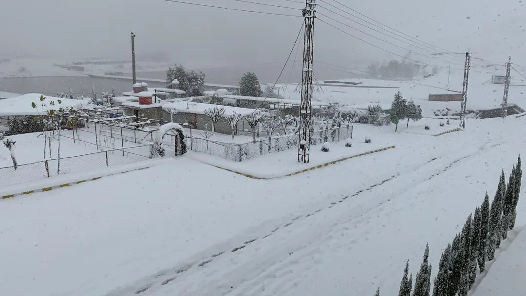 بعد أعوام.. أهلاً بالزائر الأبيض
